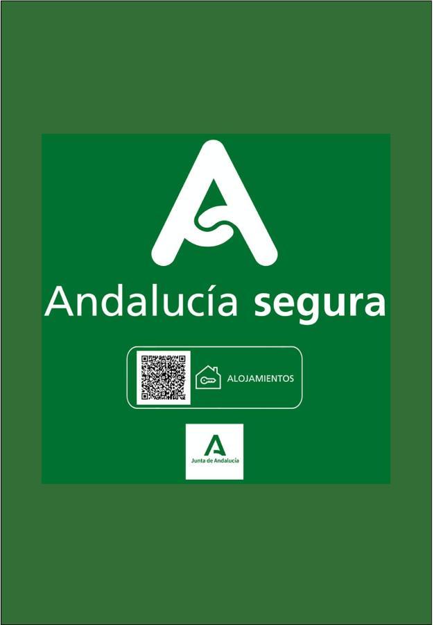 Holidays2Malaga Sebastian Souviron High Speed Wifi Buitenkant foto